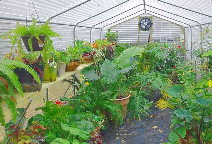 Hothouse for sale