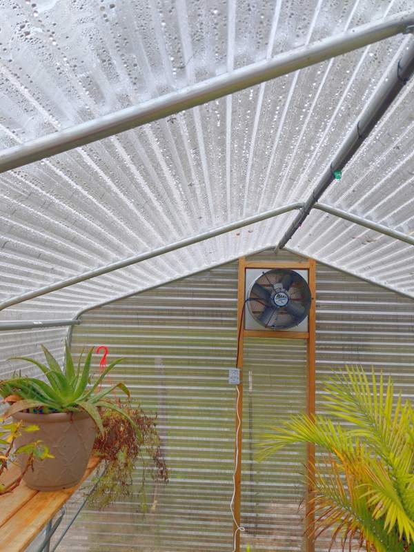 Greenhouse misting system Greenhouse misting system