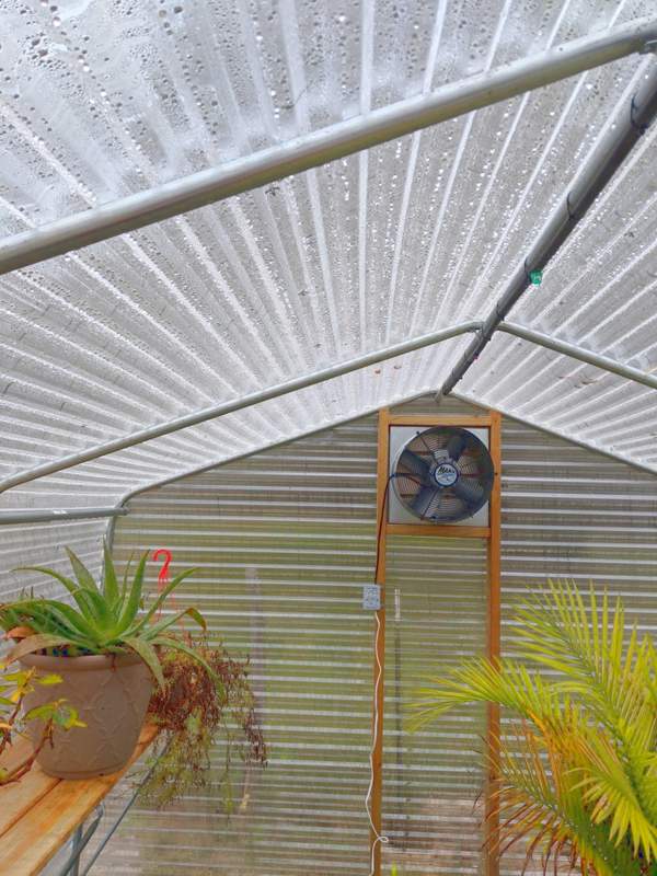 Greenhouse misting system