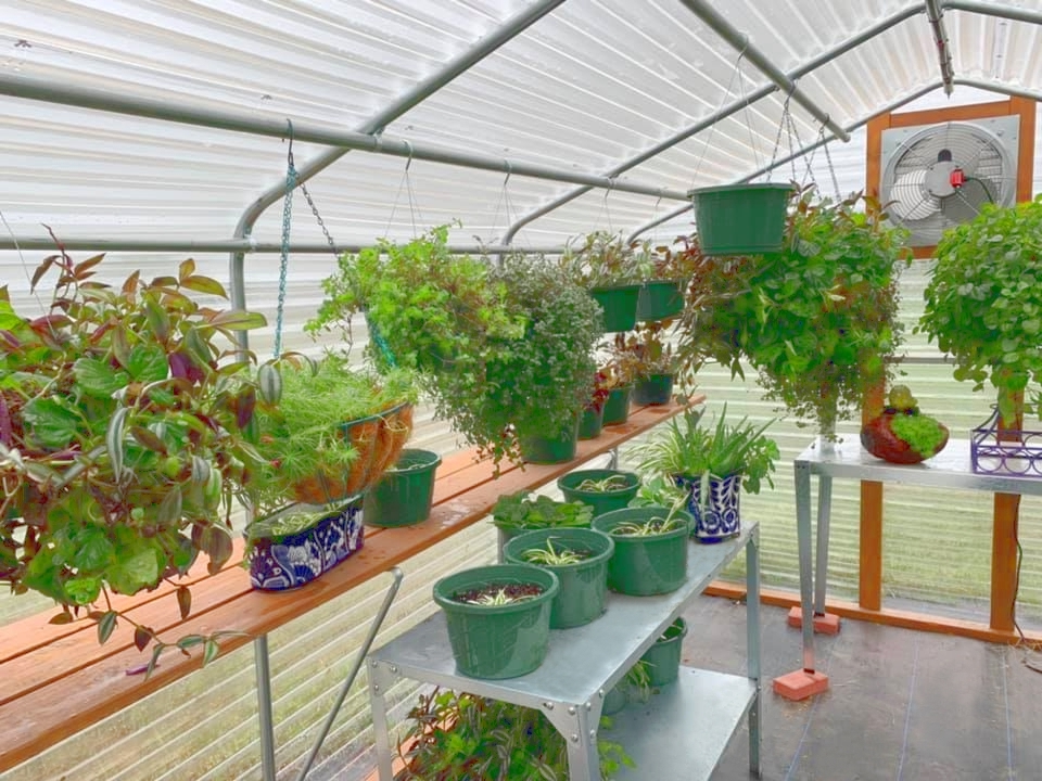 Greenhouse Hanging Basket Pipes